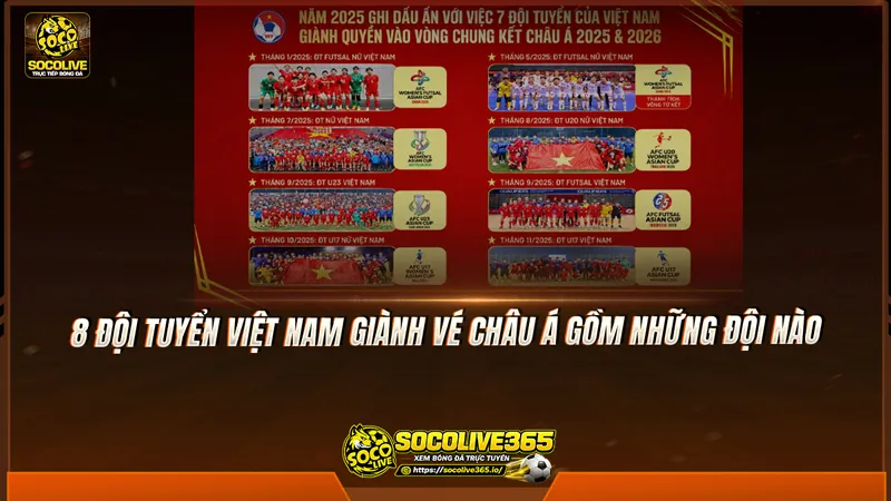 8 đội tuyển Việt Nam giành vé châu Á gồm những đội nào 8 đội tuyển Việt Nam giành vé châu Á gồm những đội nào