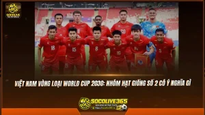 Việt Nam vòng loại World Cup 2030: Nhóm hạt giống số 2 có ý nghĩa gì